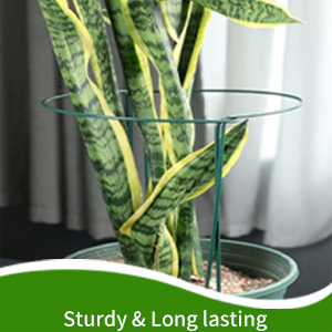 plant support detail