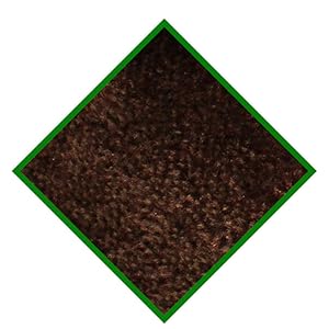 Close-up of dark brown, small granular particles, possibly coffee grounds or a similar substance, within a green square border.