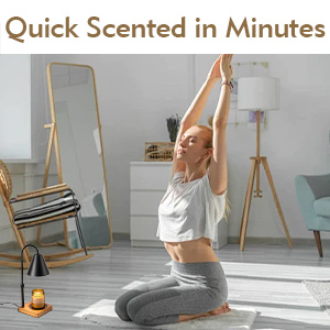 flameless wax warmer