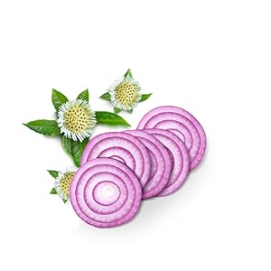 Red Onion and Bhringraj