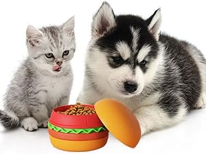cats and small dogs