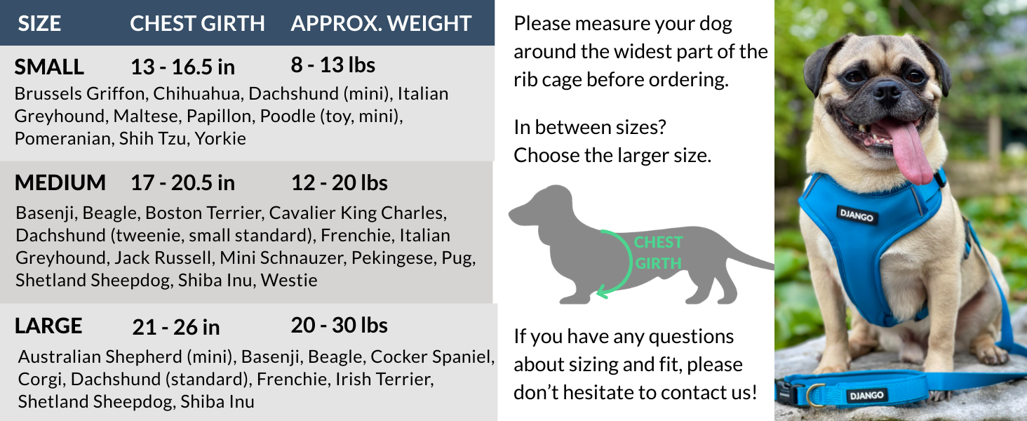 Escape-Proof Small Dog Harness adjustable dog harness medium dog harness best harness for dachshund