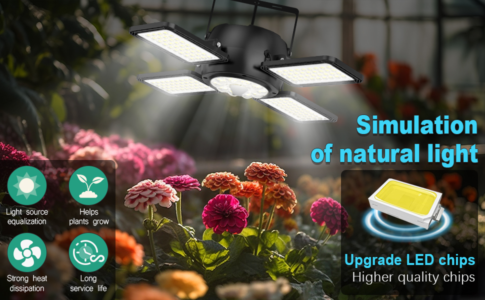 plant solar light