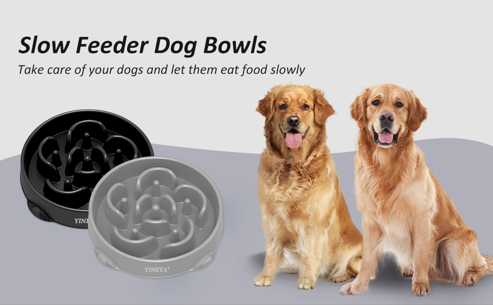 Dog Bowls