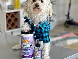 Small manufacture image 1