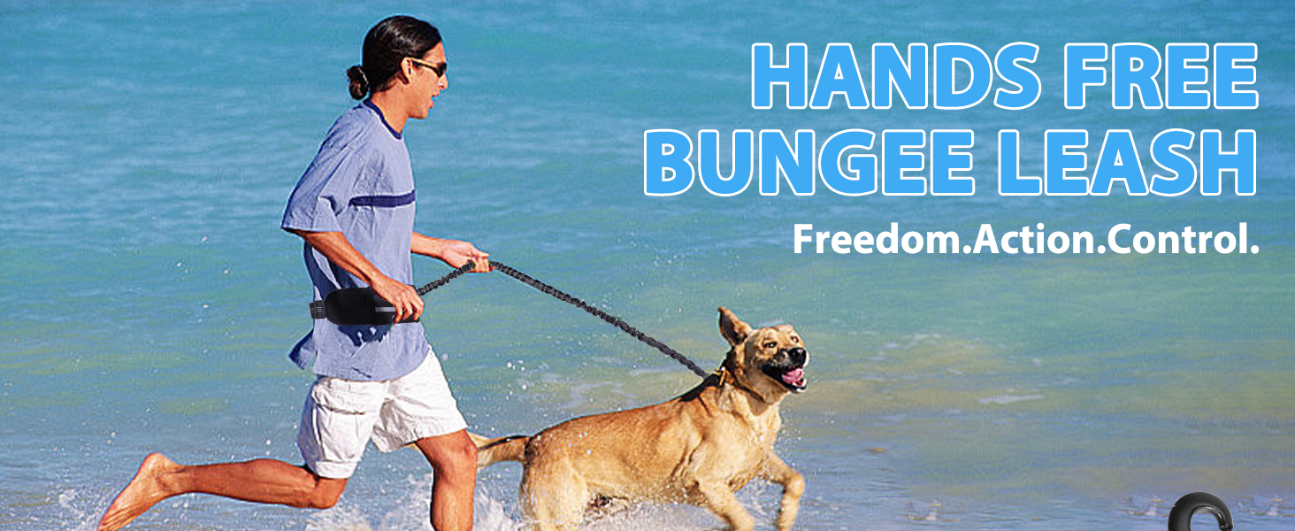 paseando a su perro en la playa