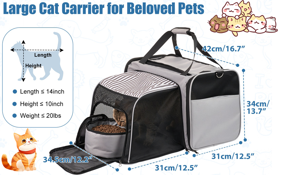 cat carrier