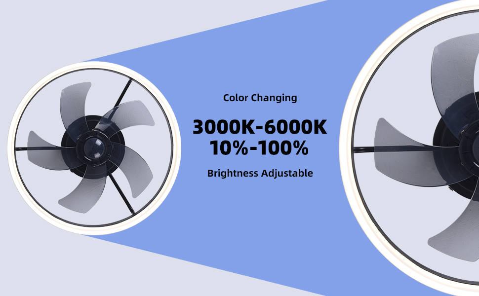 YOZLNFO Flush Mount Ceiling Light Ceiling Fan with Lights Remote