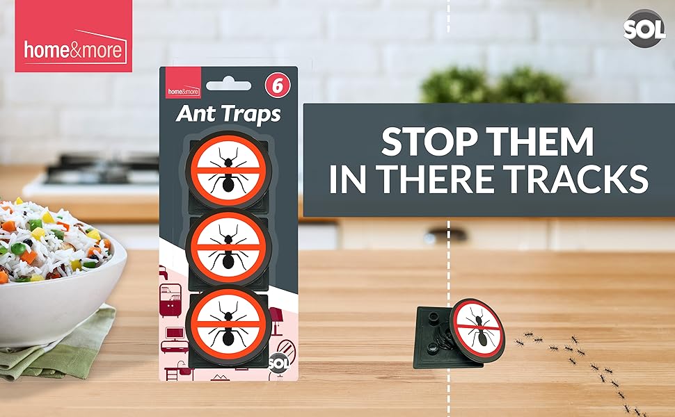 6pk Ant Traps Indoor & Outdoor Ant Bait Stations for Home Ant