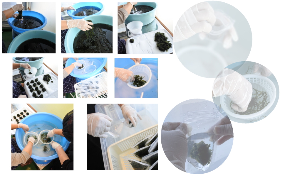 Large manufacture image 3