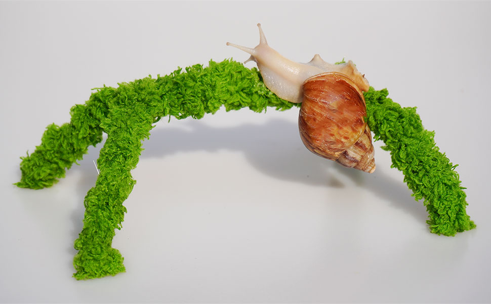 Pet Snail Climbing Toys