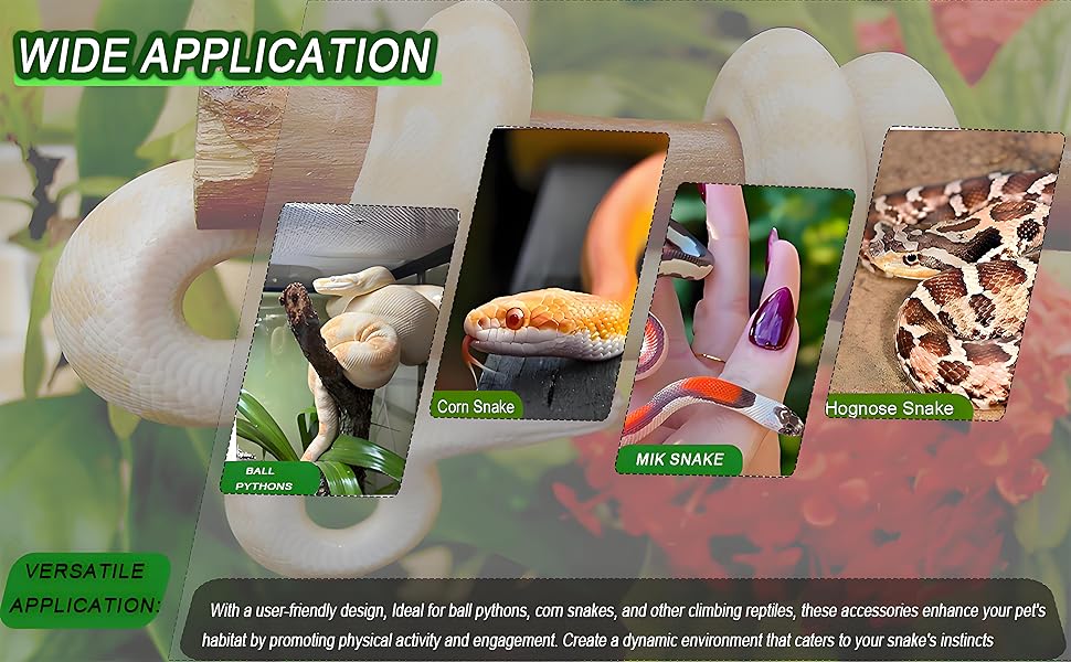 Snake Climbing Rings