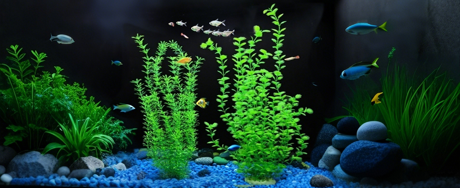 fish tank decorations