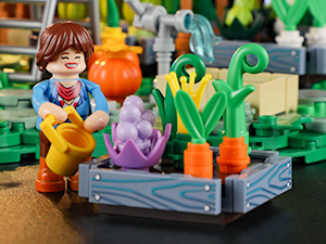 botanical garden building set