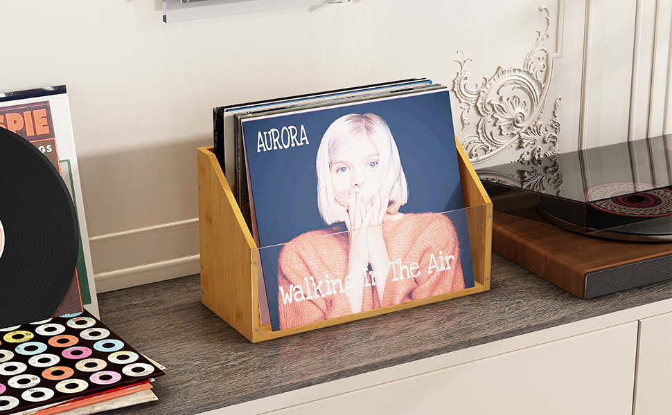 AEEHFENG Record Holder Wall for Vinyl Record Storage Space
