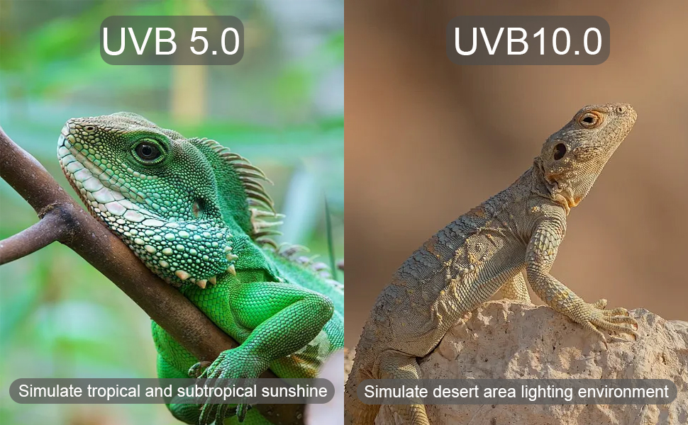 5.0 uvb bulb 10.0 uvb bulb, reptile uvb bulb