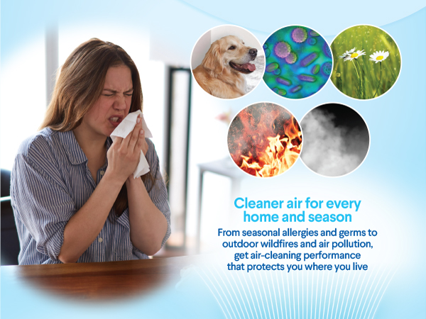 air purifiers for pollen