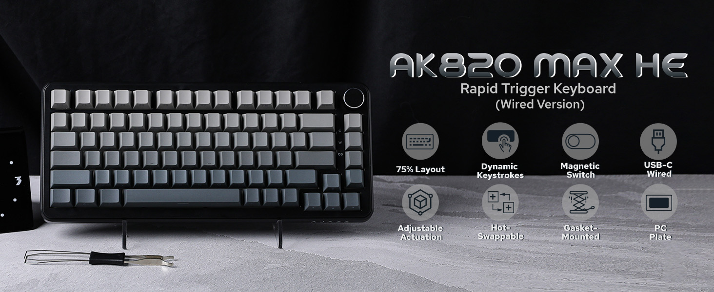 AK820 MAX HE Wired Gradient Grey