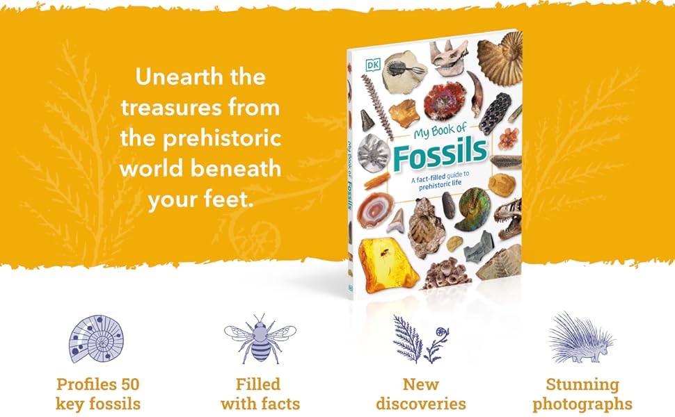 My Book of Fossils A factfilled guide to prehistoric life DK, Lomax