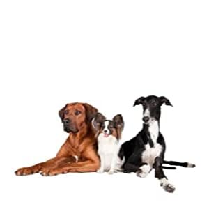 suitable for all breeds