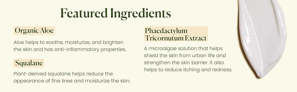 The Classic Daily Facial Moisturizer Ingredients