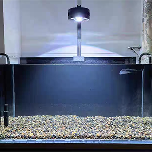 Black Background Sticker for Fish Tank