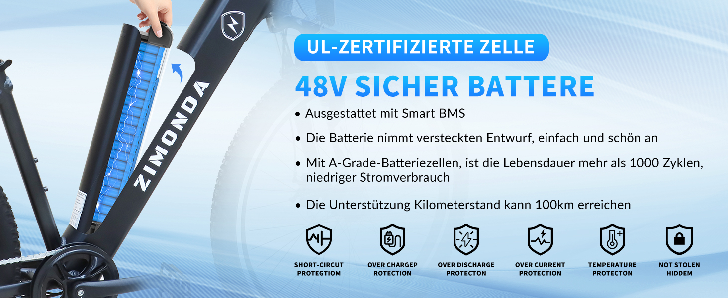 ebike herren