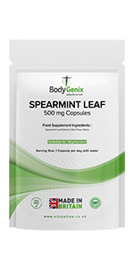 Spearmint leaf