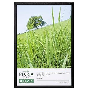 ハクバ HAKUBA 木製額縁 ピクスリア A3サイズ 10枚セット Amazon | ハクバ 【Amazon.co.jp限定】HAKUBA 木製額縁