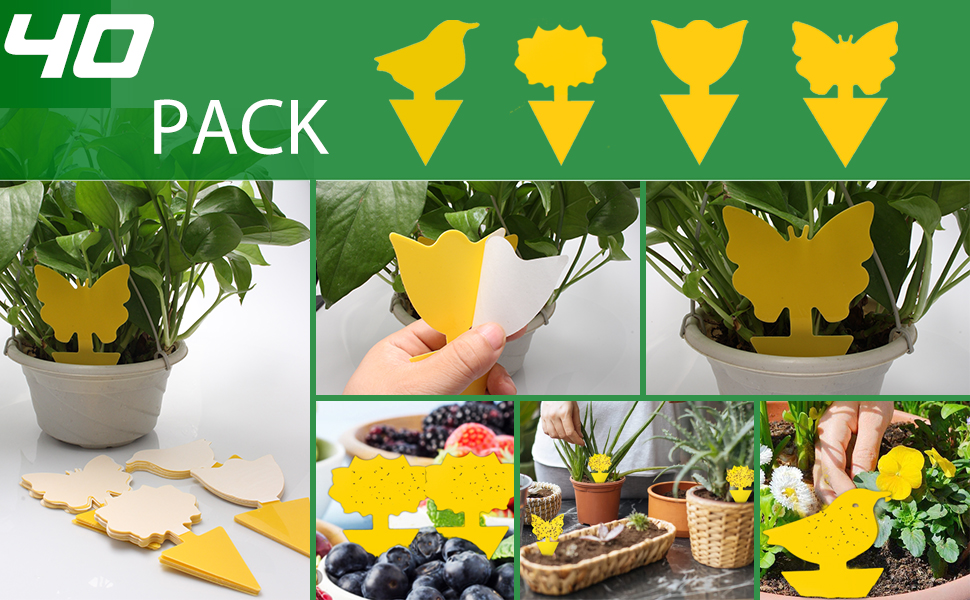 Fruit Fly Trap, 40 Pack Fruit Fly Killer Yellow Sticky Bug Insect Killer Doublesided Insect