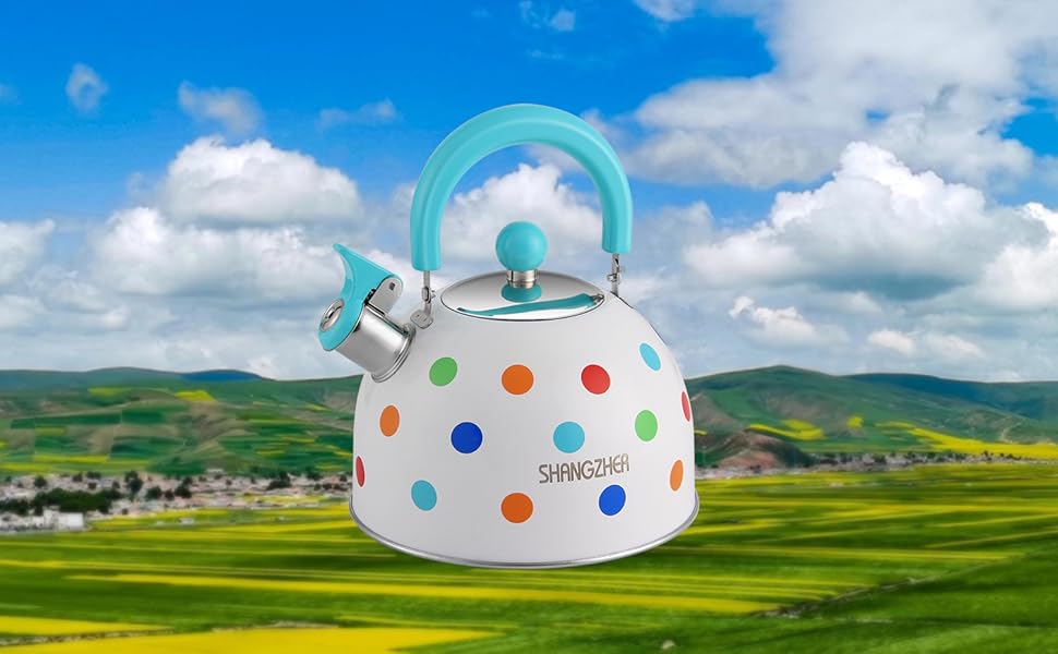SHANGZHER Stove Top Kettle Induction Gas Tea Kettle Polka Dots Color