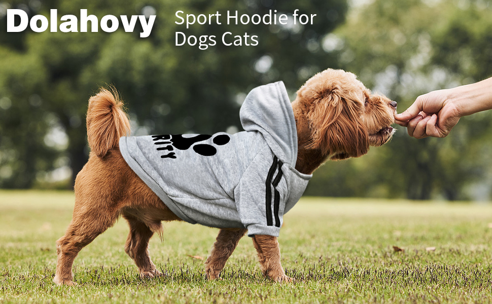 pet dog cat hoodie