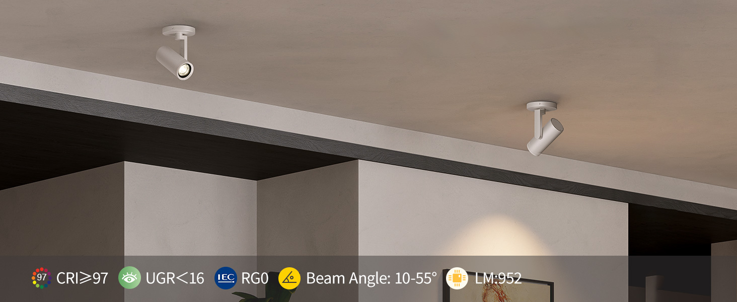 Zoomable Ceiling Spotlight