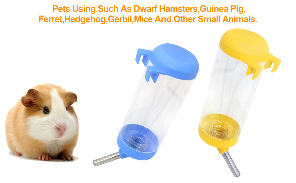 Animal Water Bottle 04