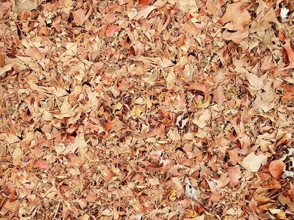 Close-up texture image of copper or rose gold colored metallic surface with granular, sparkly appearance against gradient background.