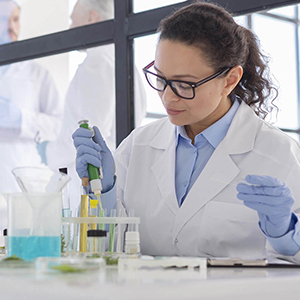 Small manufacture image 1