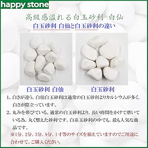 仙姿玉質 全固体電池材料の真の姿をX線レーザーで観察 ～乳がんのX線画像