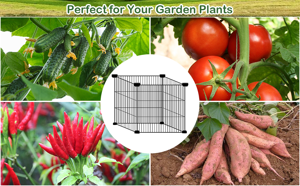 Plant protector