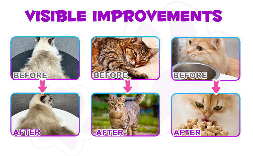 VISIBLE IMPROVEMENTS