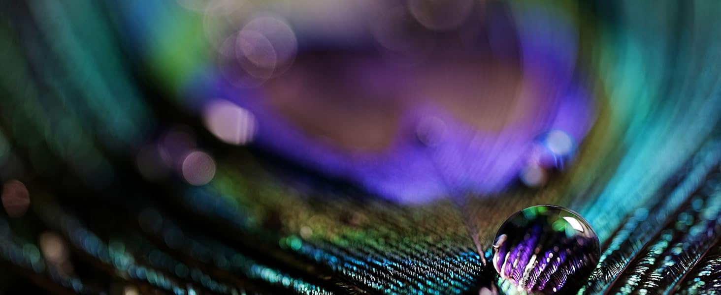 Capture every detail