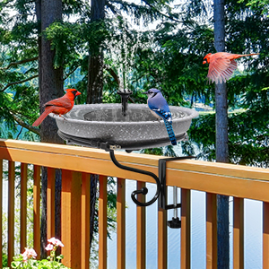 bagno di uccelli riscaldato