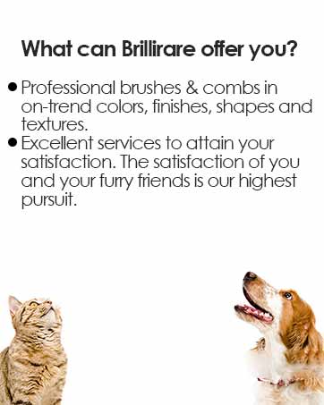 Brillirare 4 Pack Flea Lice Comb, Stainless Steel Dog Cat Grooming Combs with Rounded Teeth, Double Sided Professional Pet Tear Stain Remover, Dematting Tool for Small, Medium & Large Pets 20 Pet6