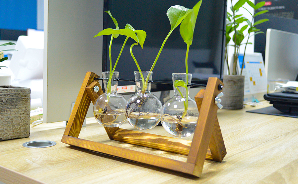 Propagation Plant Glass Stand Station Terrarium Kit Hydroponic Modern Wooden Plant Lovers Wall Hanger Stand Gift For Her Plant Gift Boho