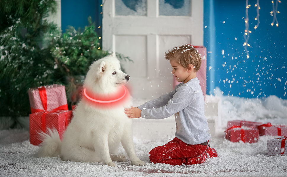 Niño en ropa de invierno interactuando con un gran perro blanco que lleva un collar rojo brillante. Adornos y regalos navideños visibles.