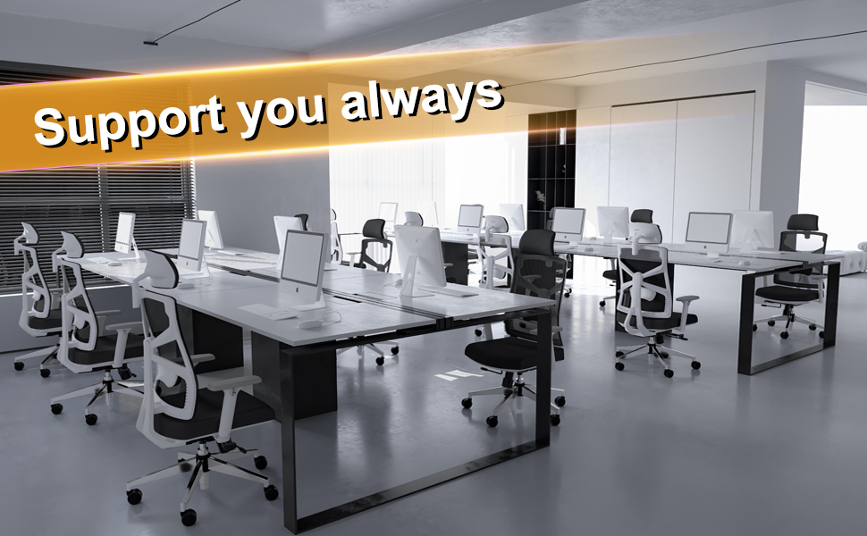 HOLLUDLE Ergonomic Office Chair with Adaptive Backrest