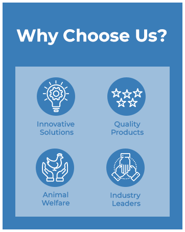 Why Choose Lil'Clucker Poultry? Innovative, Quality Products