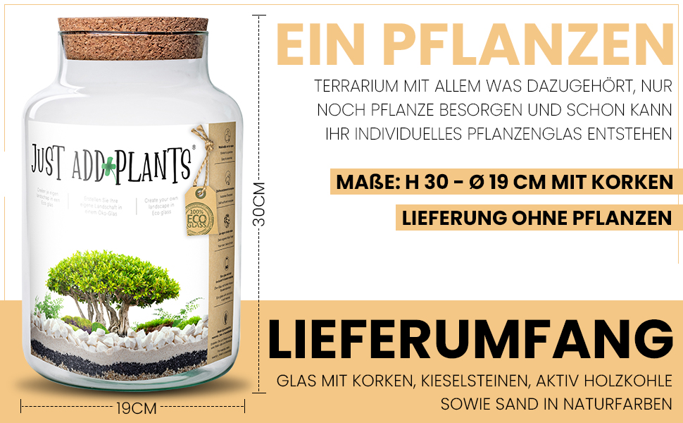 das Etikett des Grassamenglases