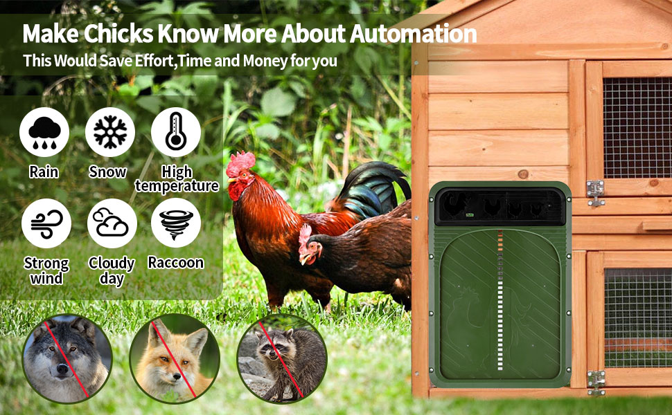 Automatic Chicken Coop Door Opener Chicken Coop Door