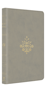 TruTone, Stone, Branch Design