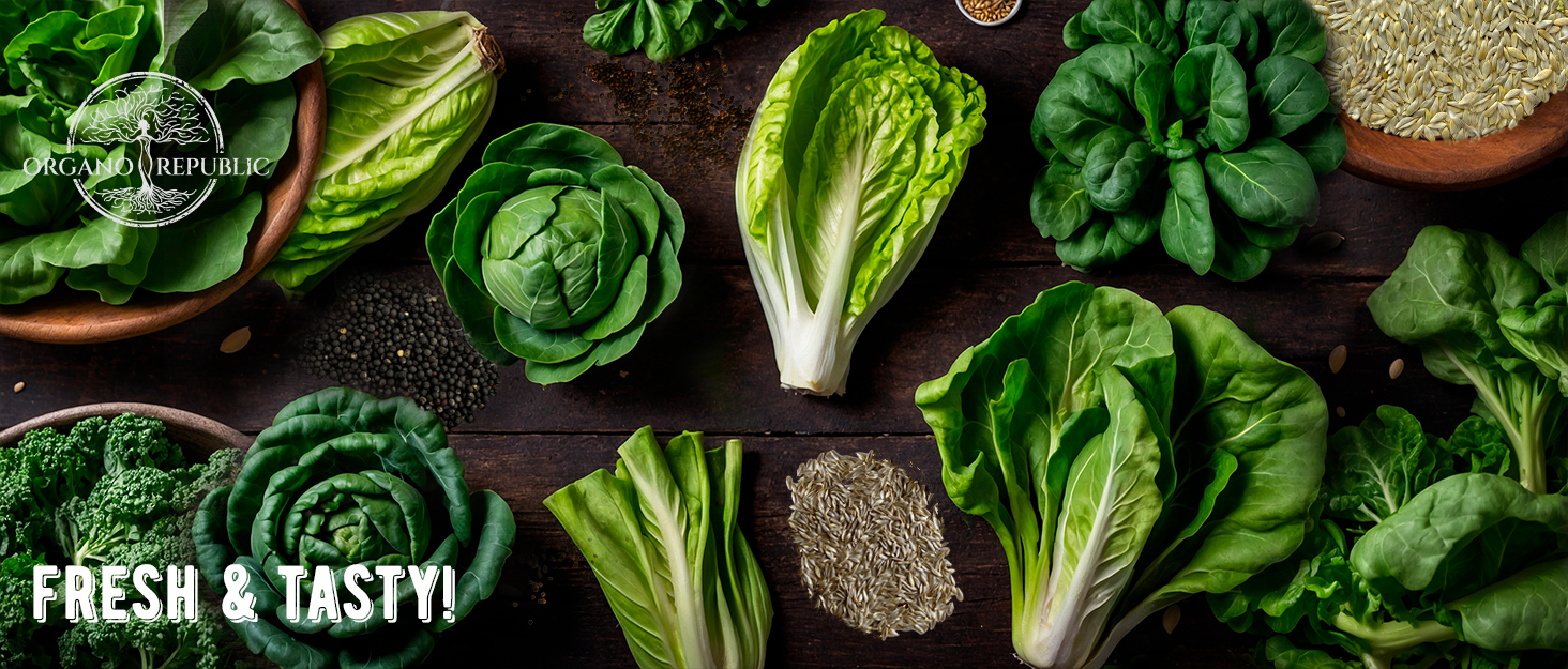 Organo Republic Non Gmo Heirloom Seeds, Vegetable Seeds, Herb Seeds, Microgreen Seeds, Seeds